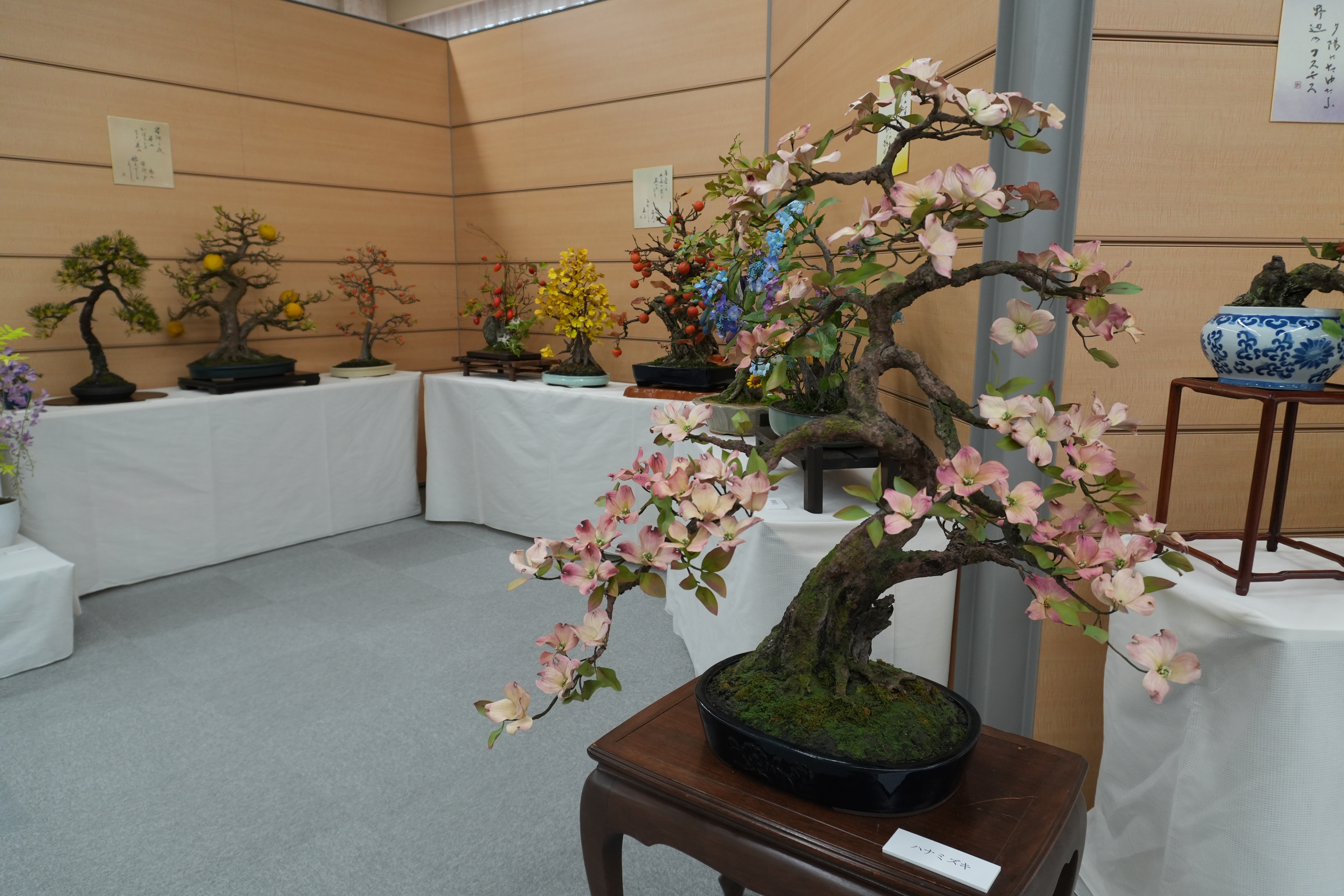 百寿記念 太田あさこ 創作アート盆栽展 | しずおか焼津信用金庫