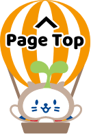 Page Top